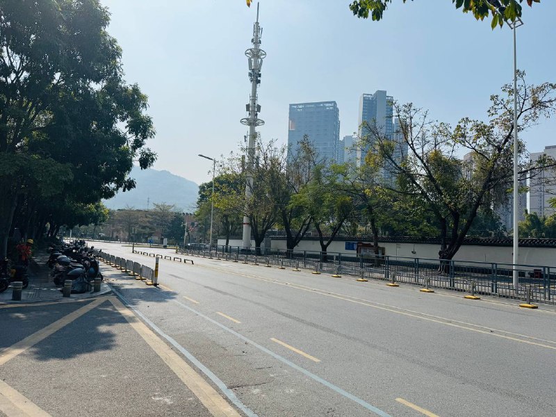 深圳的冬天，大太阳🌞